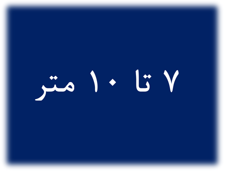 تصویر دسته بندی فرش دستباف 9 متری